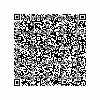 vCard 73812780133