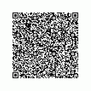 vCard 73812780163
