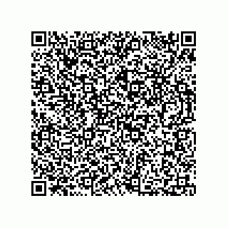 vCard 73812780199