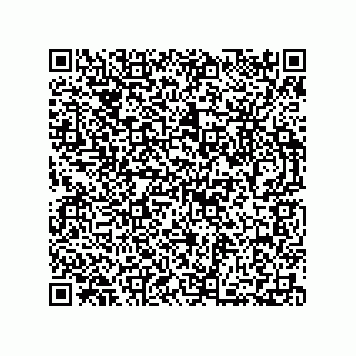 vCard 73812780290