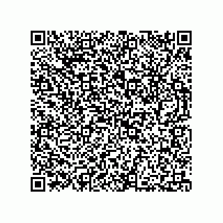 vCard 73812780321
