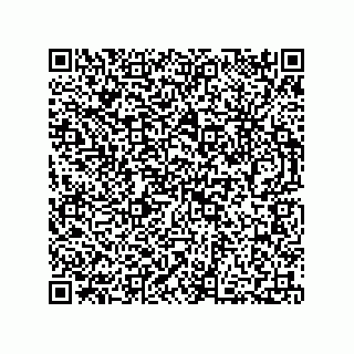 vCard 73812780329