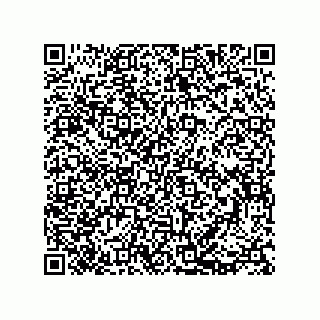 vCard 73812780333