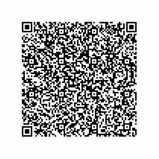 vCard 73812780334
