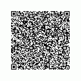 vCard 73812780353