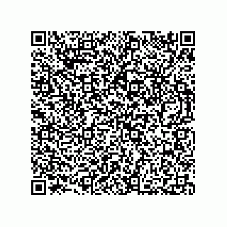 vCard 73812780380