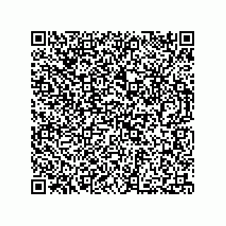 vCard 73812780381