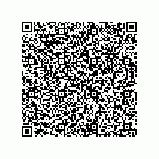 vCard 73812780389