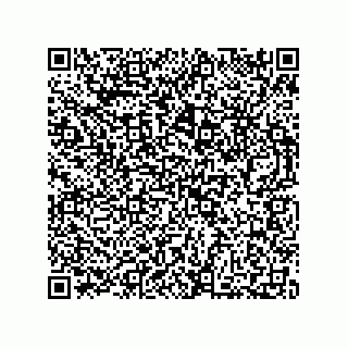 vCard 73812780394