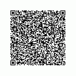 vCard 73812795004