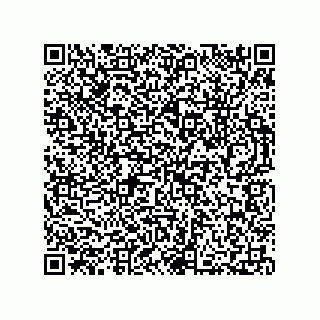 vCard 73812795033
