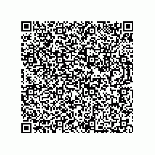 vCard 73812795252
