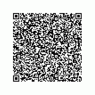 vCard 73812795264