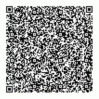 vCard 73812795294