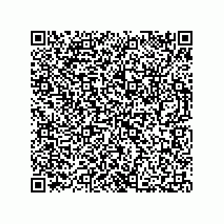vCard 73812795383