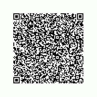 vCard 73812900002