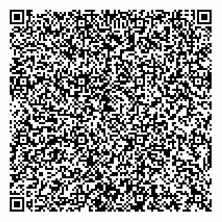 vCard 73812900020