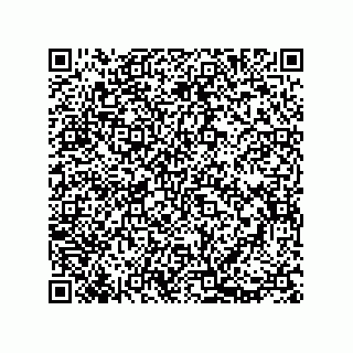 vCard 73812900319