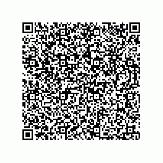 vCard 73812900399