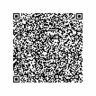 vCard 73812911004