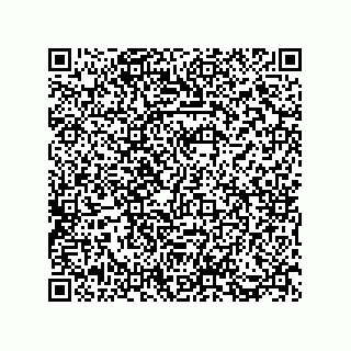 vCard 73812911038