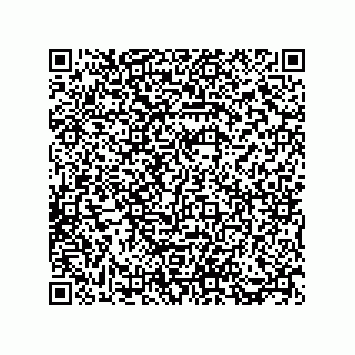 vCard 73812911384