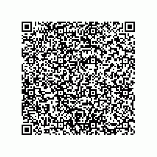 vCard 73812911385