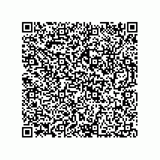 vCard 73812915803