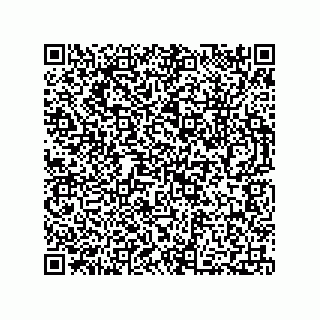 vCard 73812915839