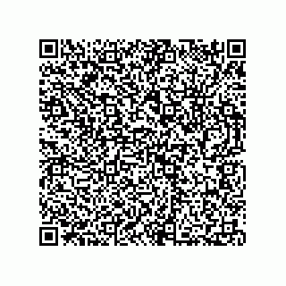 vCard 73812915863