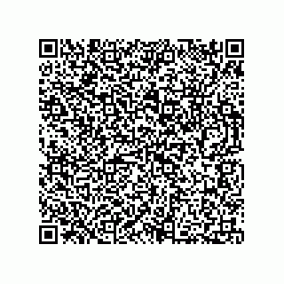 vCard 73812915919
