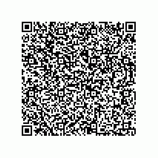vCard 73812916919