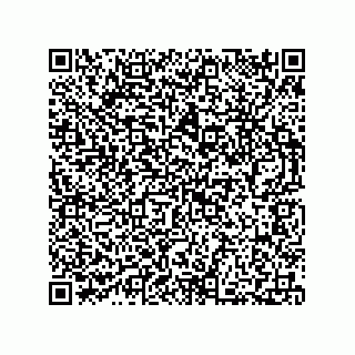vCard 73812920335