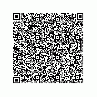 vCard 73812920395