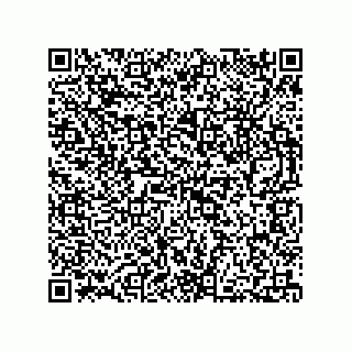 vCard 73812920411