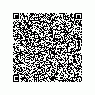 vCard 73812920533