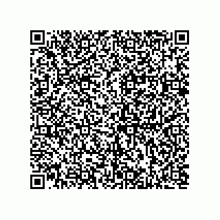vCard 73812933111