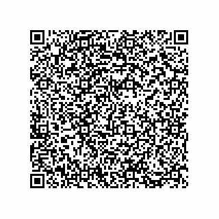 vCard 73812933207