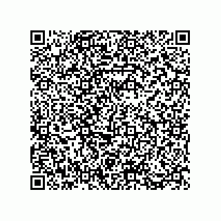 vCard 73812933249