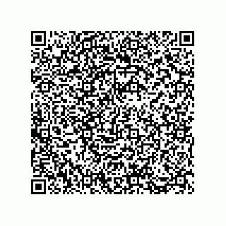 vCard 73812933271