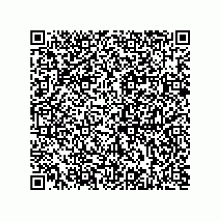 vCard 73812933278