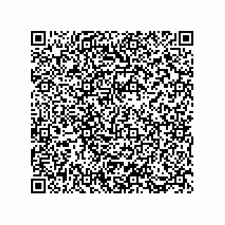 vCard 73812933285