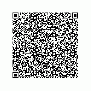 vCard 73812933295