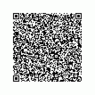 vCard 73812933302