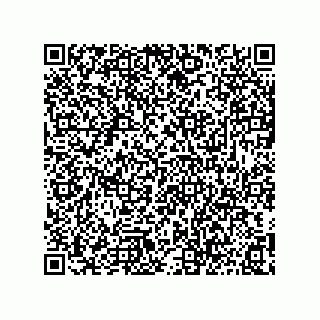vCard 73812933309