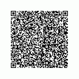 vCard 73812933319