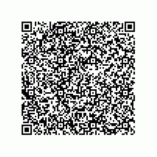vCard 73812933330