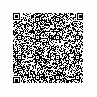 vCard 73812933332