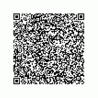 vCard 73812933335