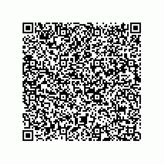 vCard 73812933337
